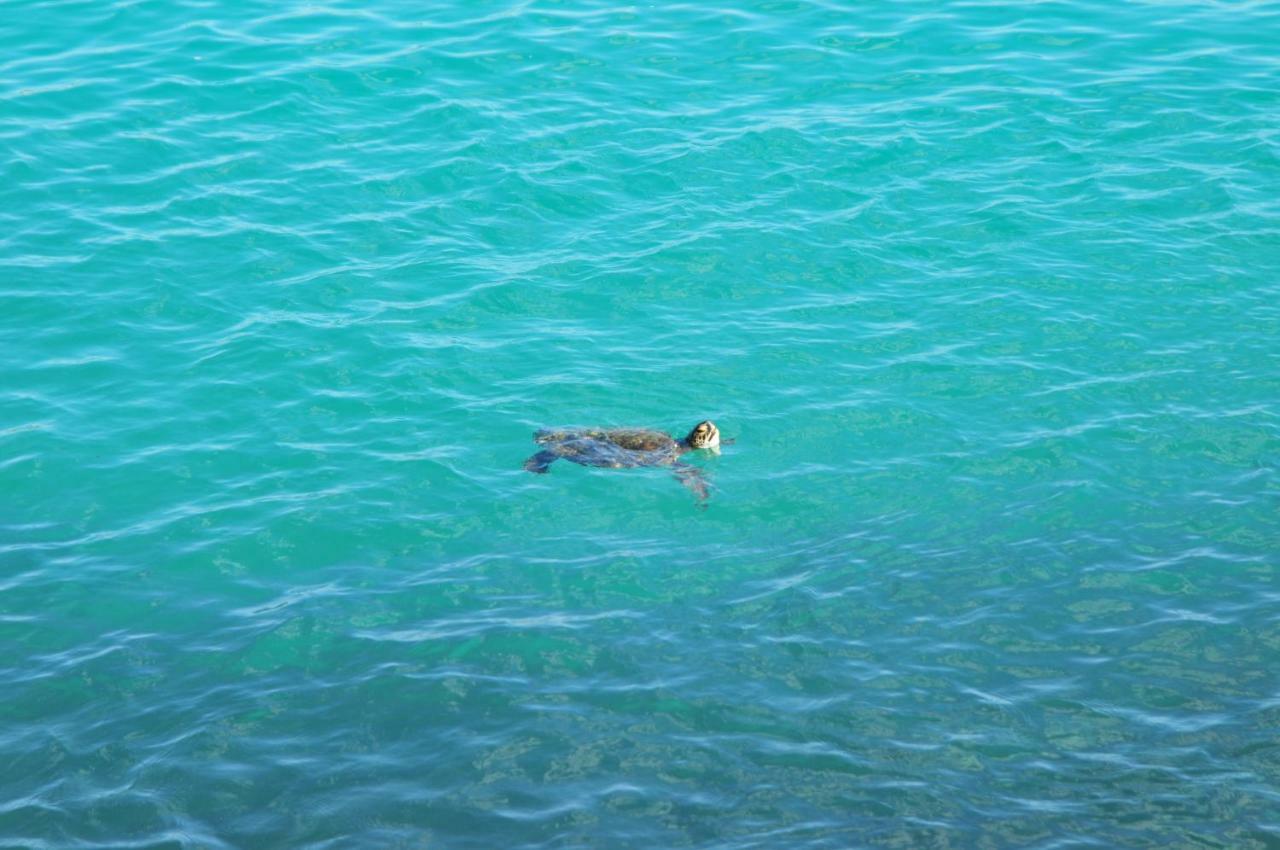 Canto Da Arvore 1 Arraial do Cabo Dış mekan fotoğraf